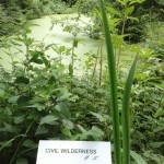 #5-Teichkopf 4- CW-Schild